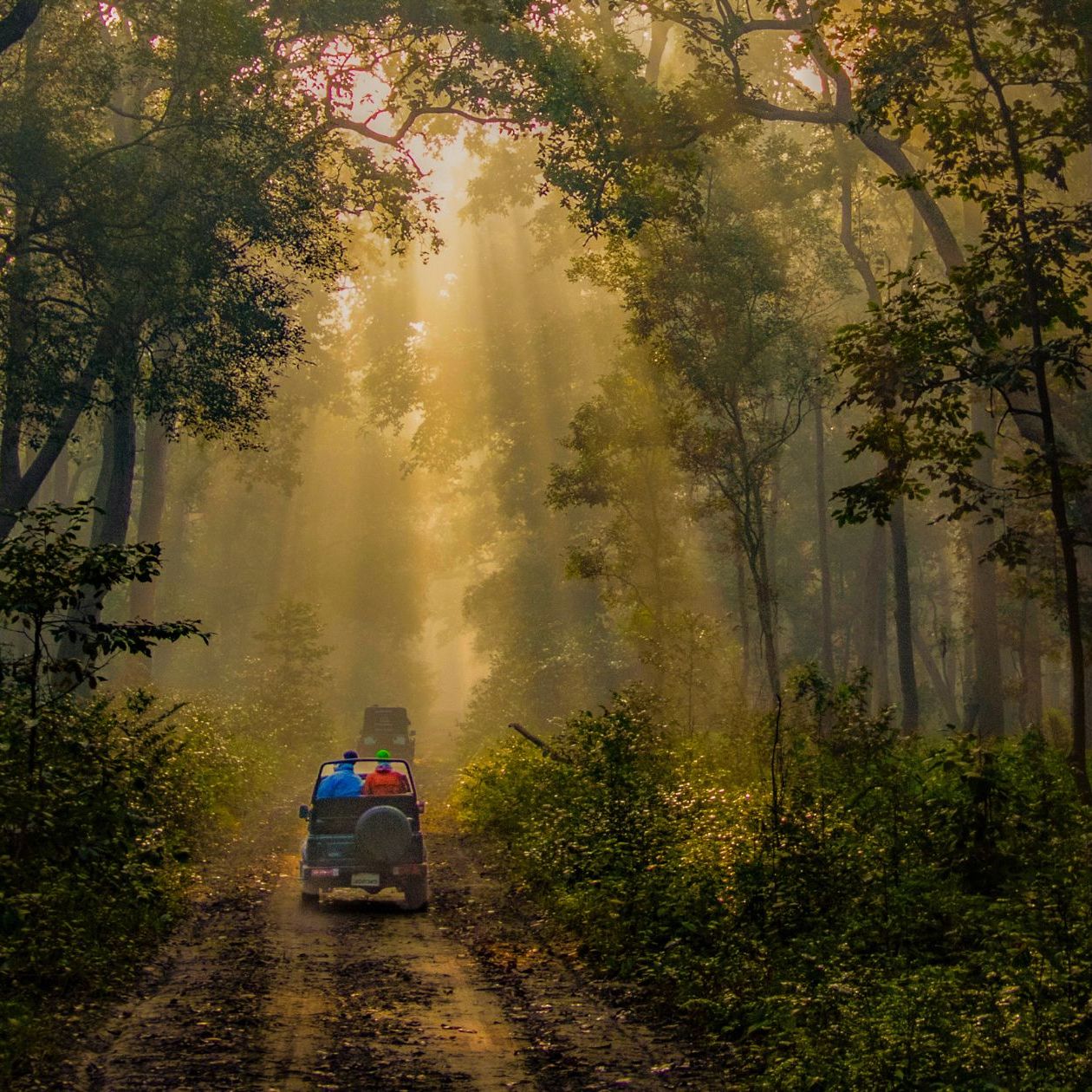 Rent a scooty or bike from Haldwani to Jim Corbett National Park